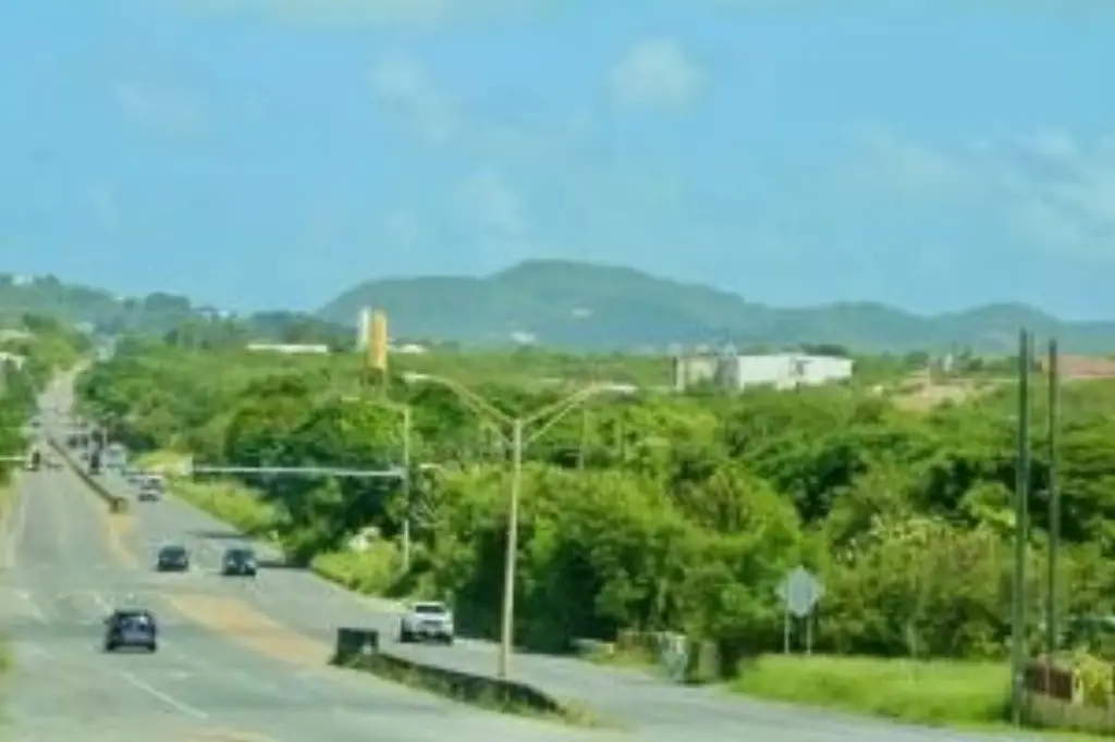 Picture 6