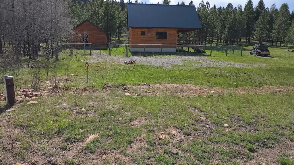 Picture 15