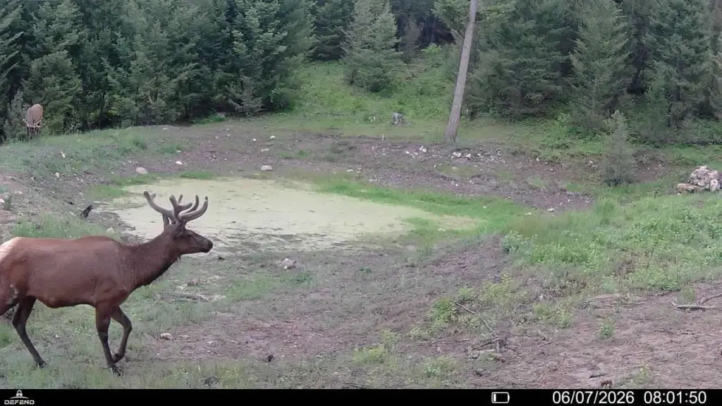 Picture 6