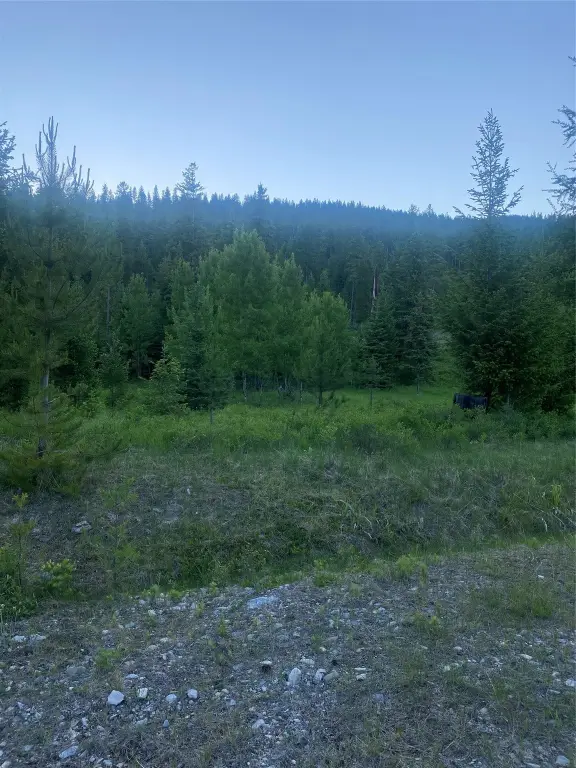 Picture 15