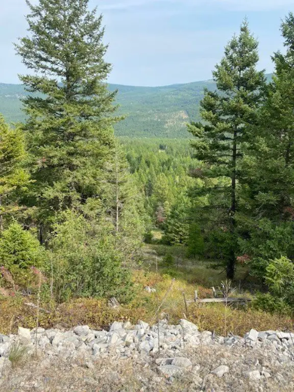 Picture 4