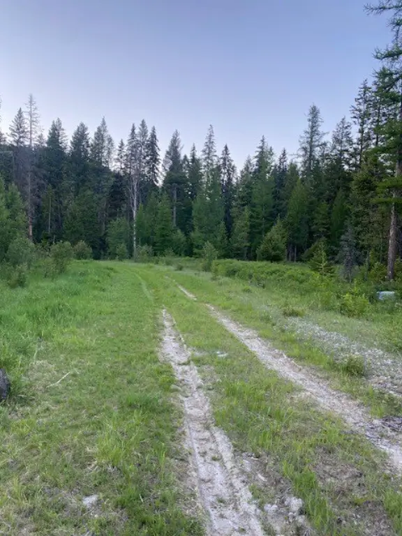 Picture 11