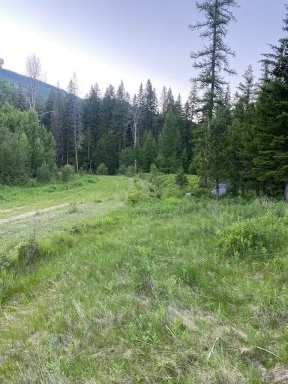 Picture 10