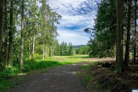 Sequim Land Parcel with Pond