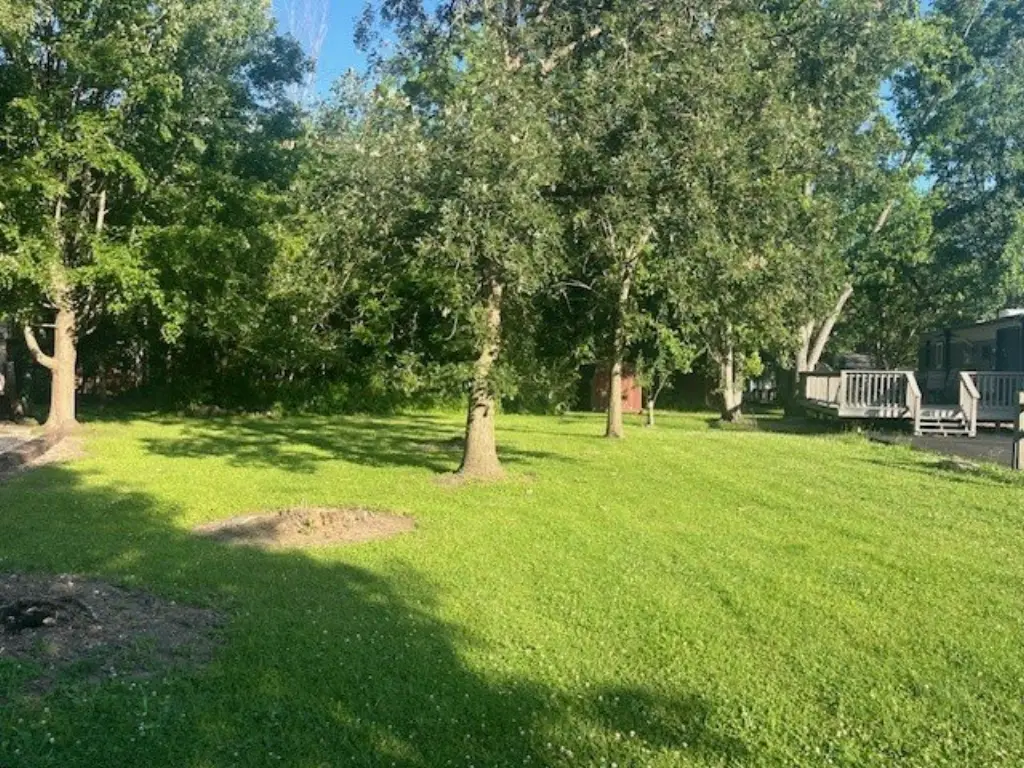 Picture 3