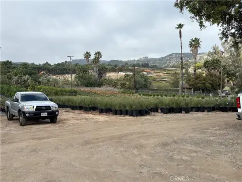 Wholesale Nursery with Leaseback Option