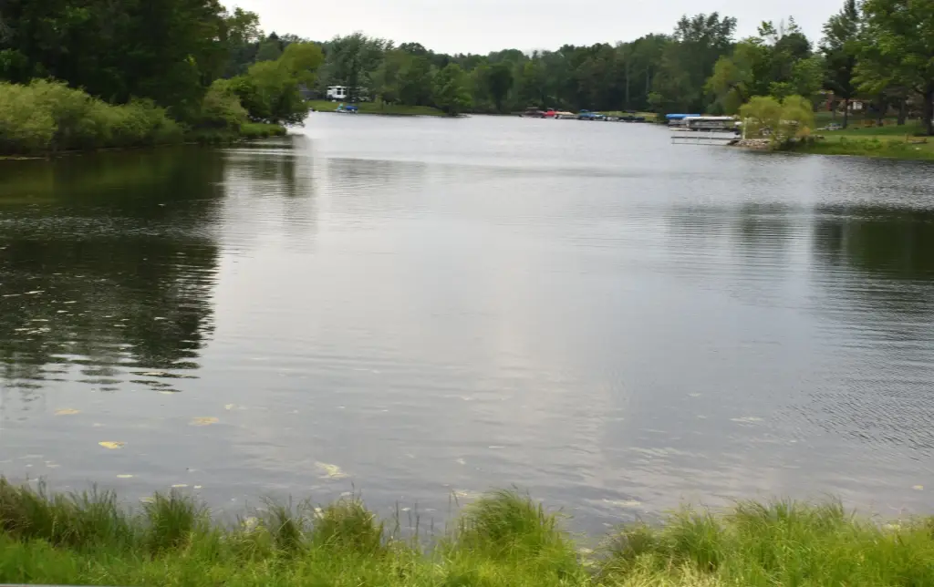 Picture 7