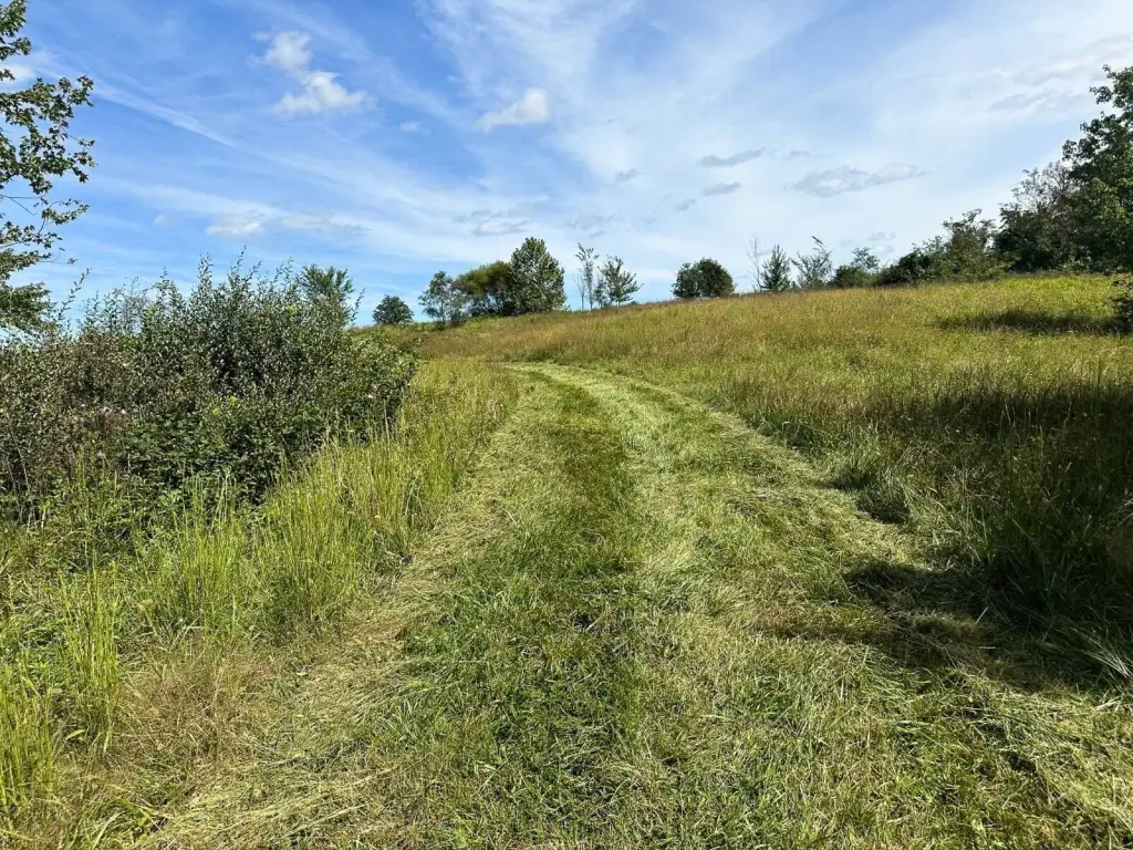 Picture 35
