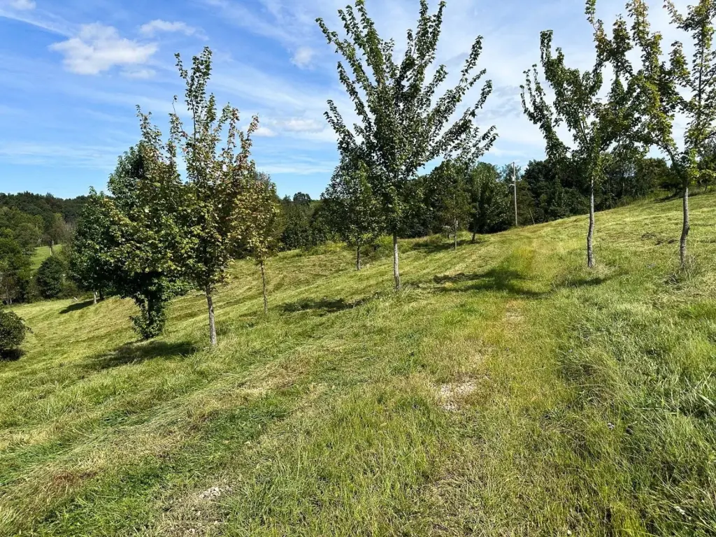 Picture 30