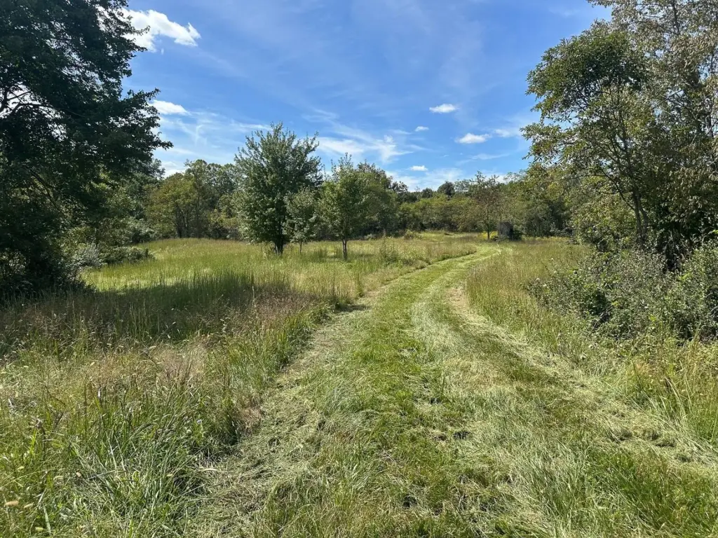 Picture 36