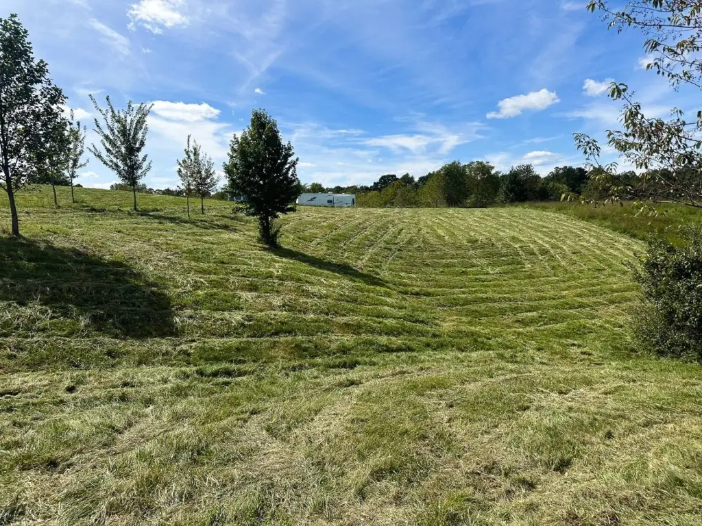 Picture 28