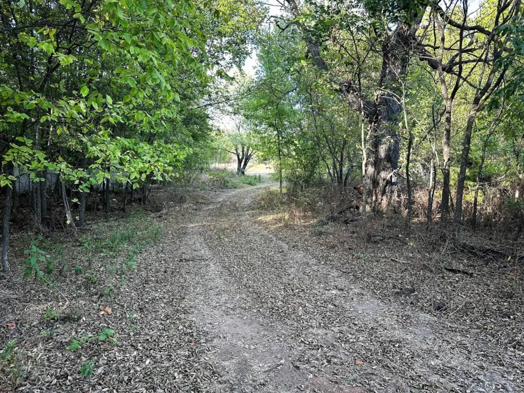 Picture 16