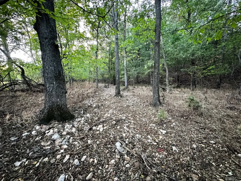 Picture 45