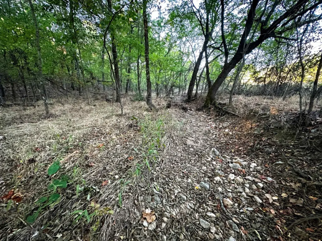 Picture 41