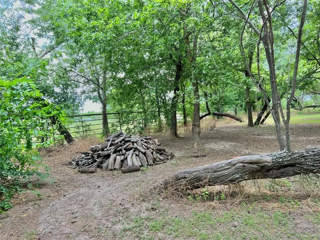 Picture 25
