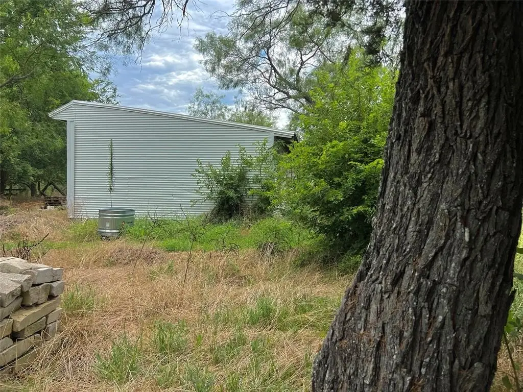 Picture 19
