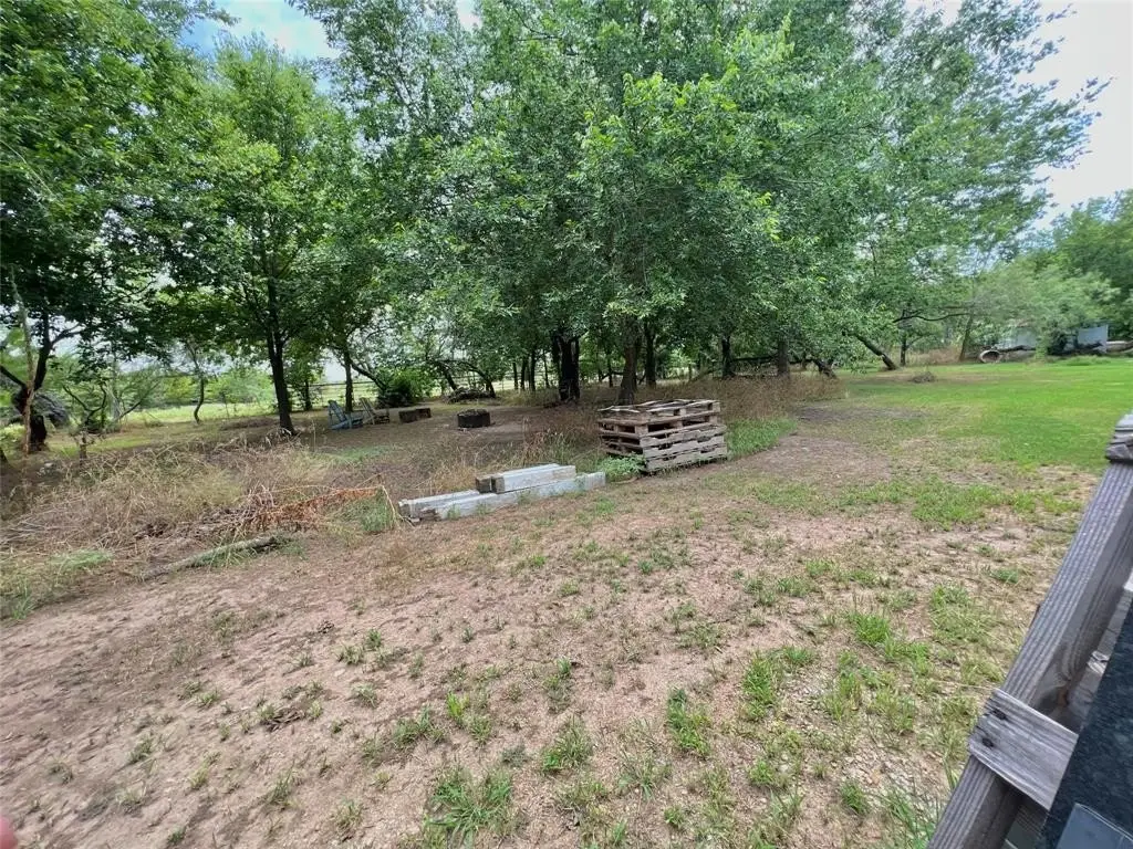 Picture 24
