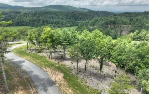 Land For Sale Morganton, GA