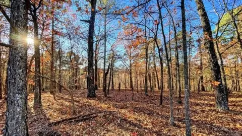 Residential Lot Near Gated Entrance
