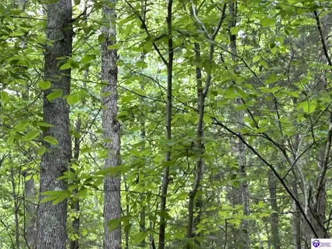 Knifley, KY Acreage For Sale