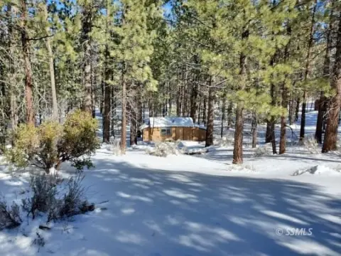 5 Acres of Mountain Freedom