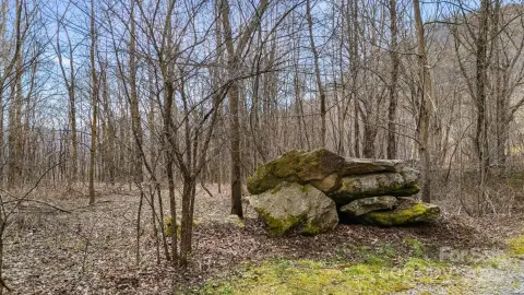 Land in Gated Community