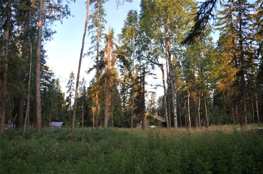 Picture 7