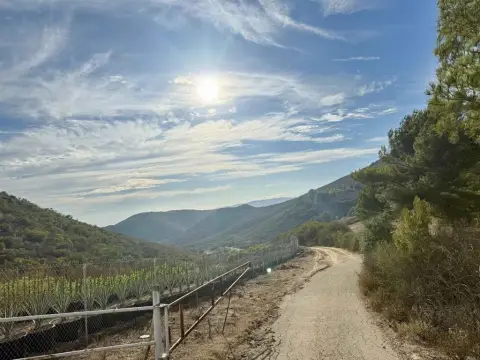 Fallbrook Land/Lot Opportunity