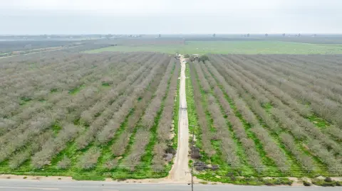 Almond Orchard Farm Estate