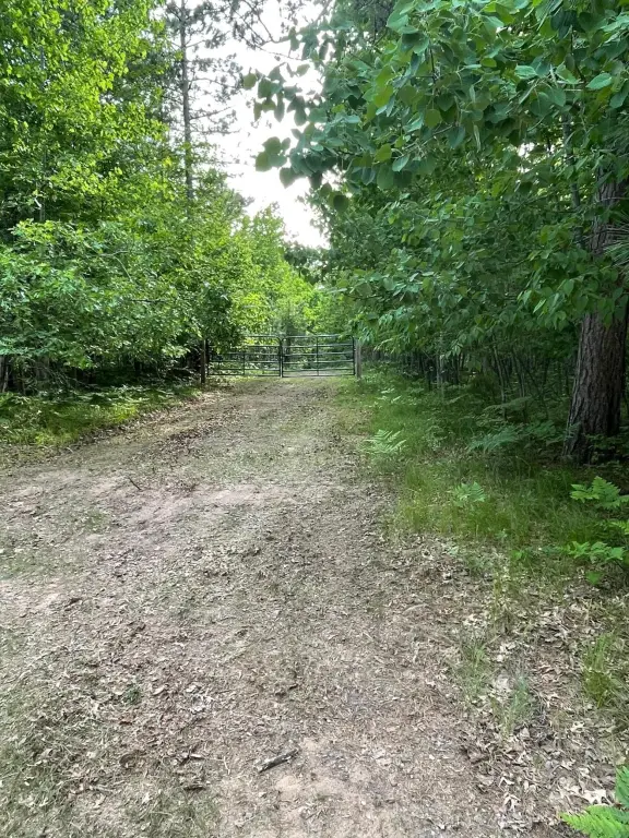 Picture 12