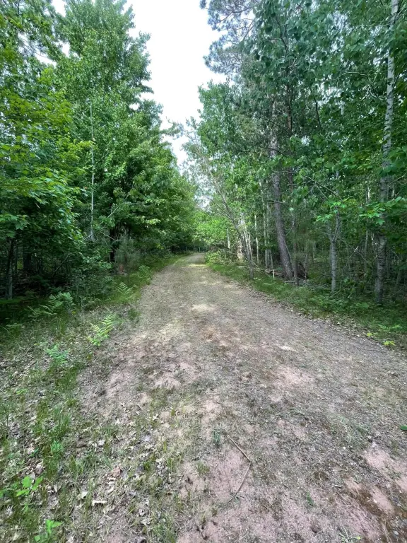 Picture 13
