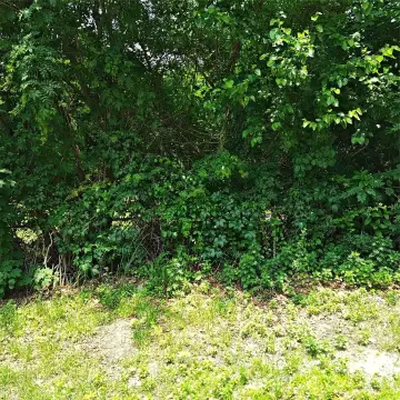 Vacant Land in Medford, NY