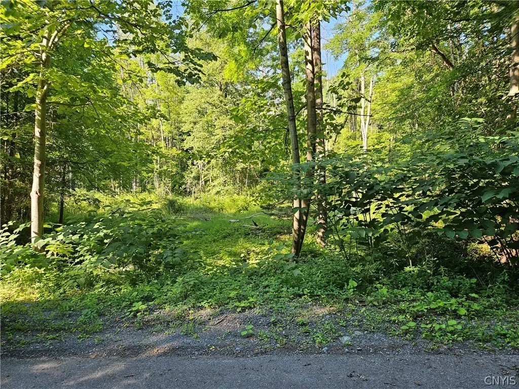 Picture 4
