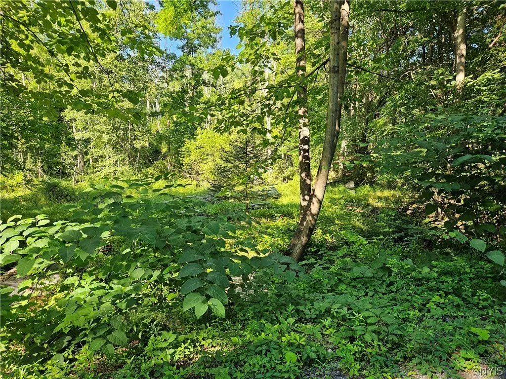 Picture 5
