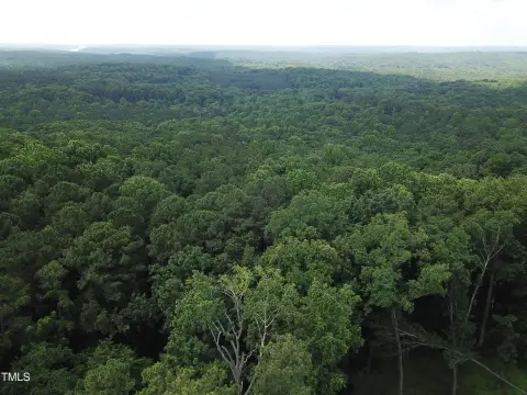Wooded Land in Chatham County