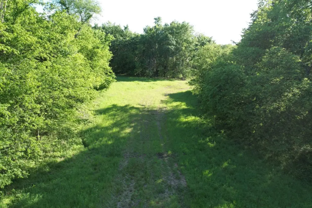 Picture 42