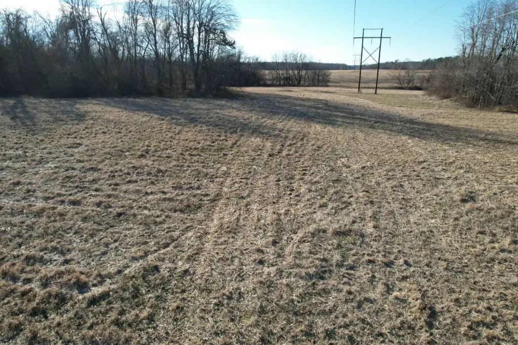 Picture 33
