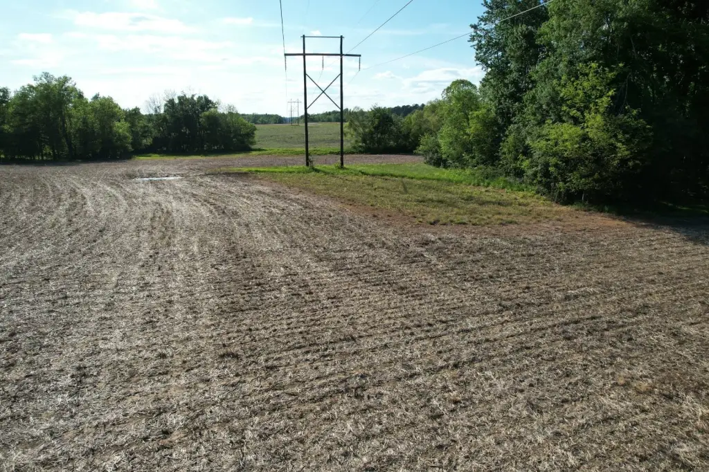 Picture 40
