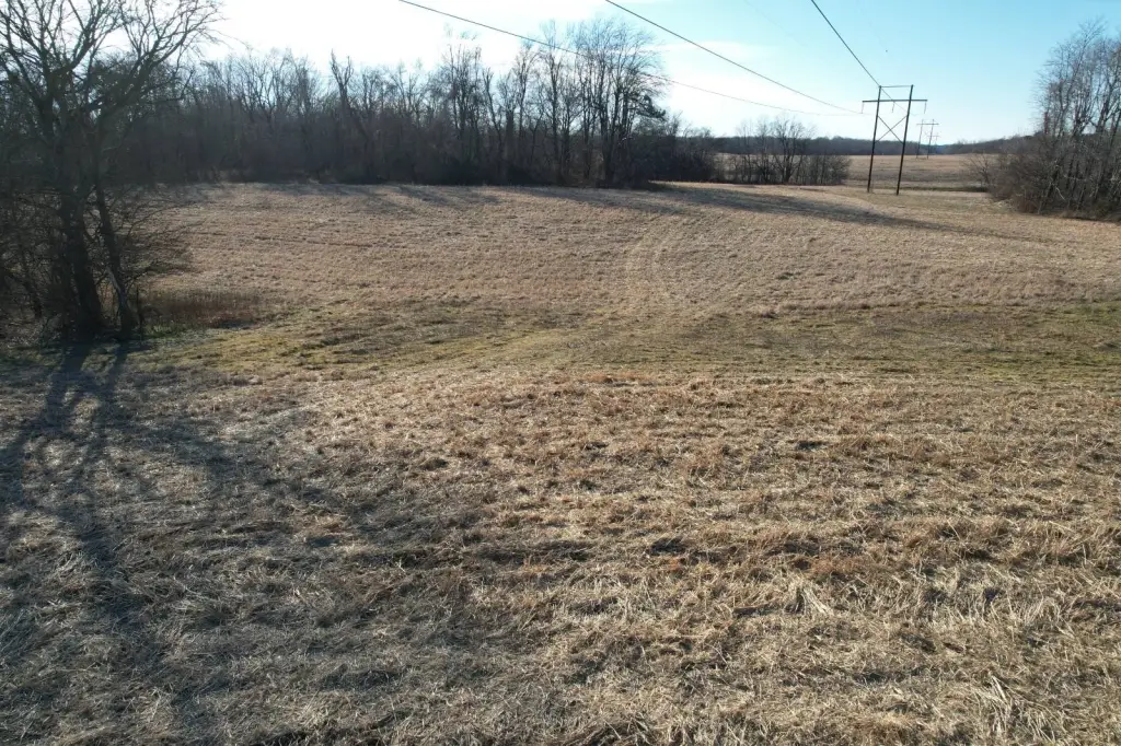 Picture 19