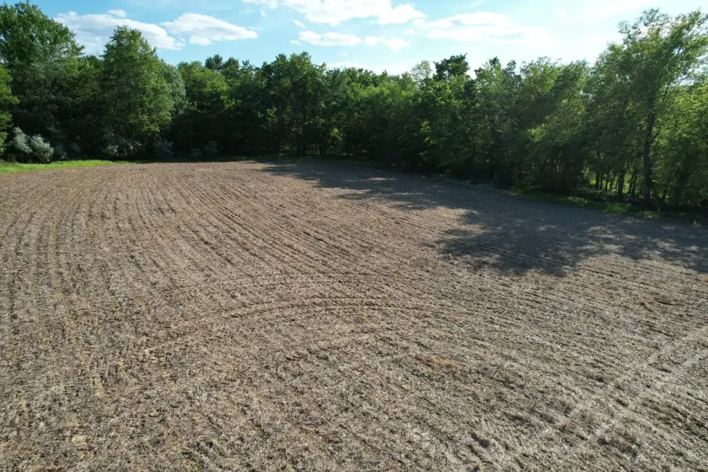 Picture 41