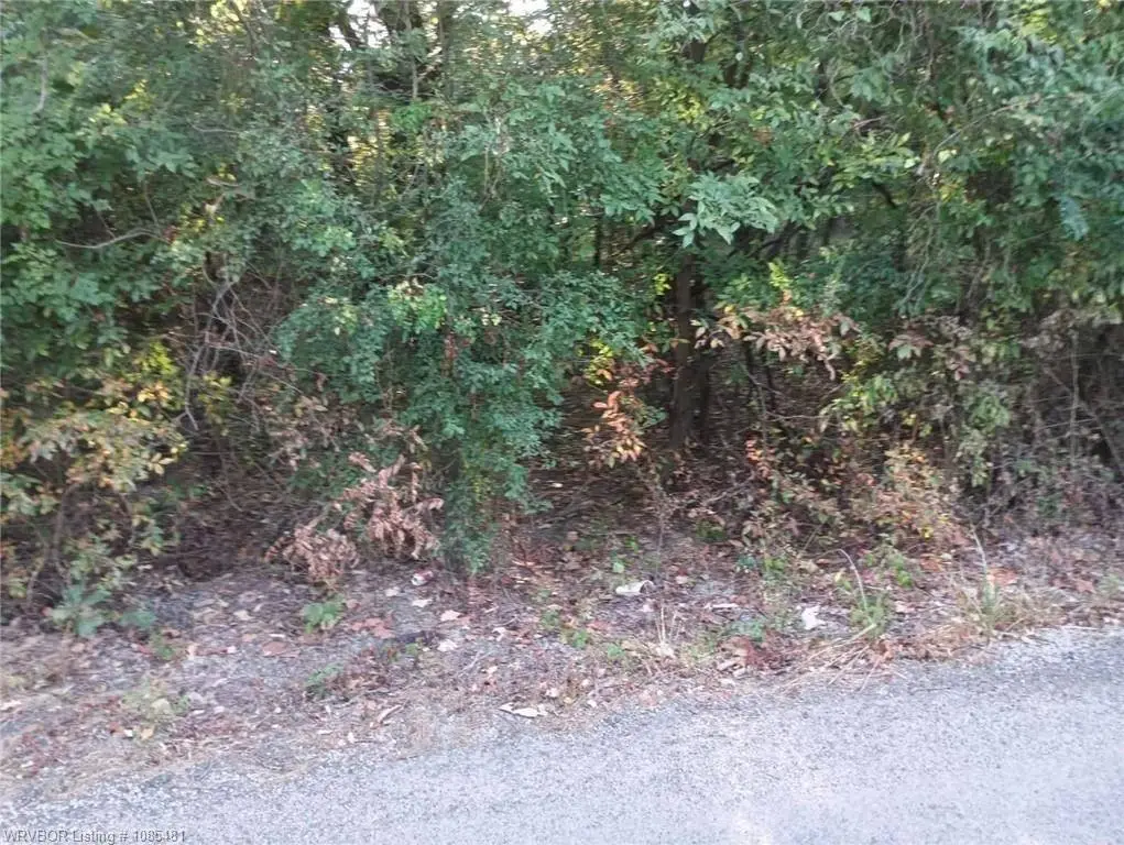 Picture 5