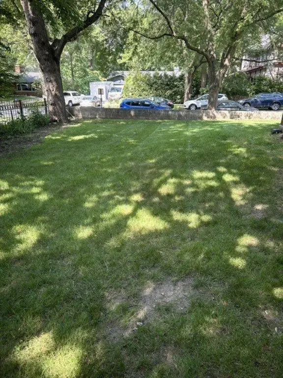 Picture 24