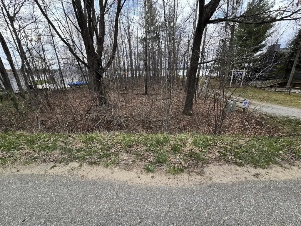 Picture 17
