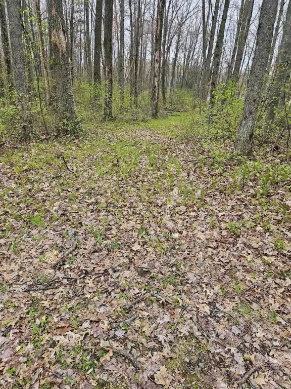 Picture 4