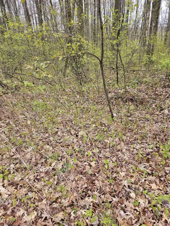 Picture 5