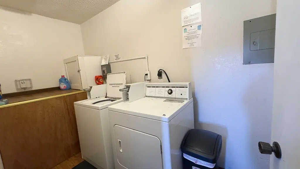 Picture 20