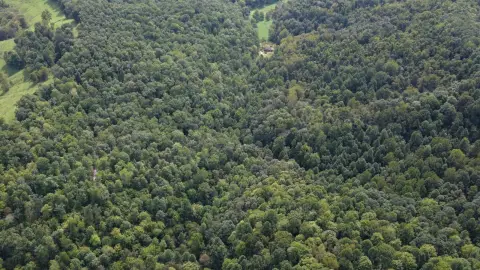 Hunting Land with Varied Terrain