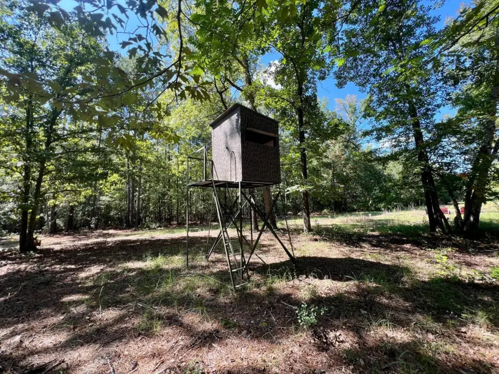 Picture 11