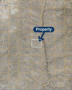 5.15 Acres Raw Land Fabens