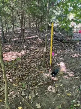 Wooded Lots Near Bull Shoals